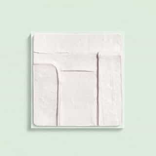 CLEANSERS The Scrub Mask