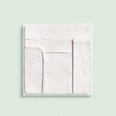 CLEANSERS The Scrub Mask